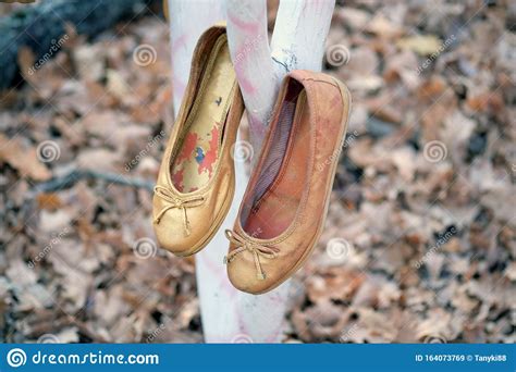 If you were to drive it you would see the sights of mountains, valleys, cattle, and thousands of shoes hanging from a tree. Old Golden Ballet Shoes Hang On A Tree. Stock Image - Image of outdoor, footwear: 164073769