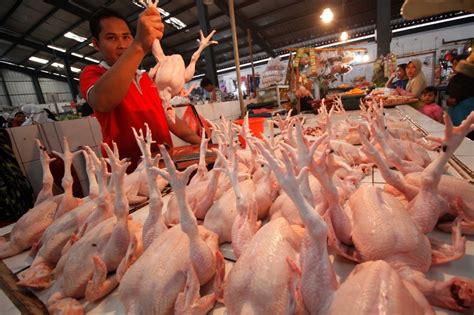 Hal ini terlinat dari harga daging ayam dan telur yang terpantau merangkak naik di pasar pondok gede, bekasi. Harga Telur dan Daging Ayam di Temanggung Naik Jelang ...