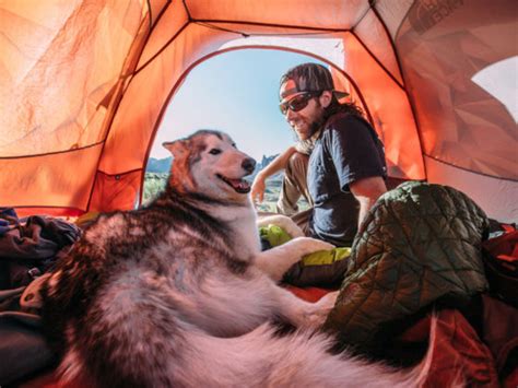 Men denne gang er det anderledes. Camping with Loki the Wolfdog - Matador Network