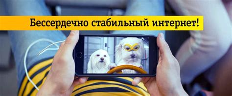 С громким заявлениями на тему того, как даня милохин попал на питерский экономический форум и в рекламу сбера выступил дизайнер первого канала антон ненашев. Музыка из рекламы Билайн - Бессердечно стабильный интернет ...