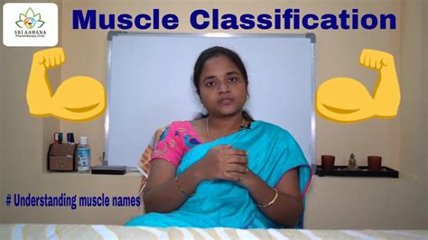 The following list includes bo. Understanding muscle names - Muscle Classification ...