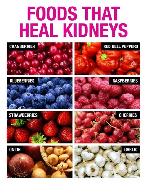 Olive oil may be the best cooking oil because of the type of fat that it contains. 8 Foods That Heal Kidneys | Kidney friendly foods, Food ...