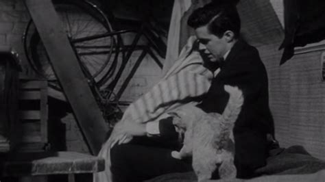 The video is basically about the broken love story of anne and peter. The Diary of Anne Frank (1959) - Cinema Cats