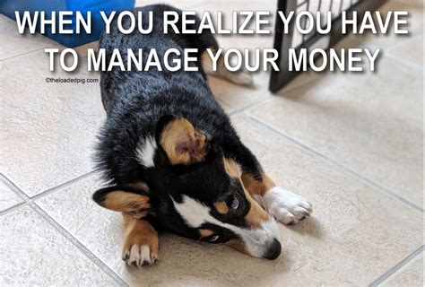 One does not simply ask the rich to pay their fair share finance and economics memes | financial translator. Personal Finance 101: Money Lessons From Memes | The ...