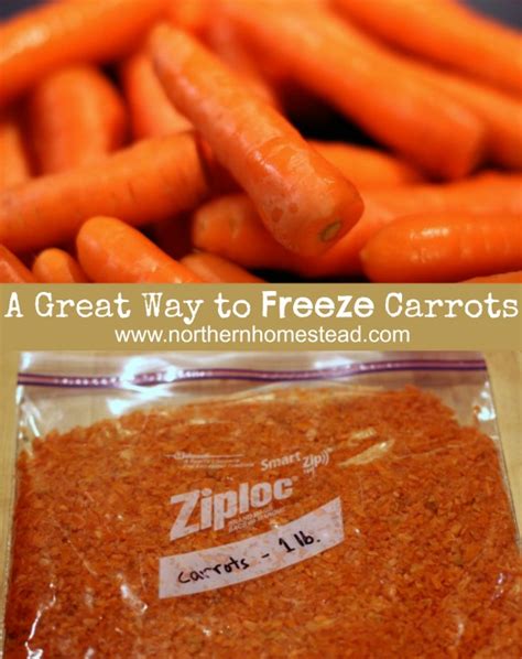 Yes, you can freeze carrots. A Great Way to Freeze Carrots - Northern Homestead