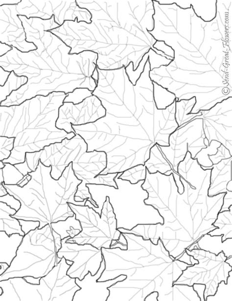 Give thanks autumn leaves coloring page / two sizes included: Printable Fall Leaves - Coloring Home