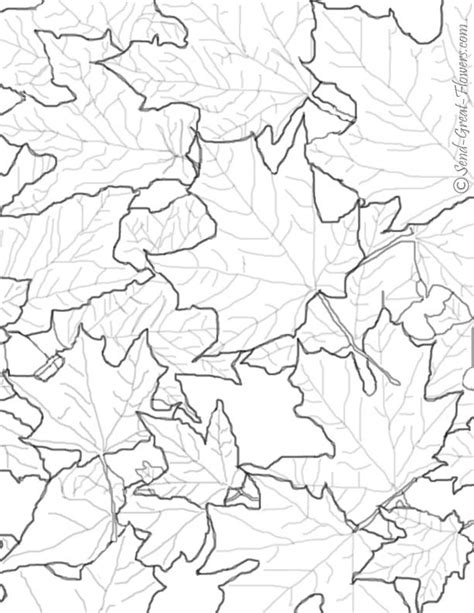 Give thanks autumn leaves coloring page / two sizes included: Printable Fall Leaves - Coloring Home