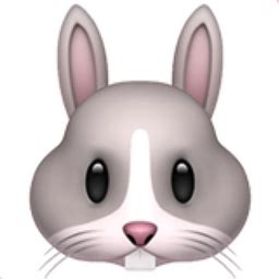 This wikihow teaches you how to use the bunny face filter for a photo or video snapchat message. Rabbit Face Emoji (U+1F430)