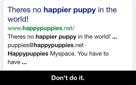 Find the newest happy puppies net meme. Theres no happier puppy in the world! www.happypuppies.net/ Theres no happier puppy in the world ...