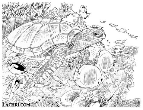 Free printable turtle coloring pages for kids. Color this sea turtle underwater scene yourself in my free ...