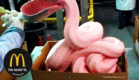 Mcdonald's has recently caved to consumer demands to cease the utilization of 'pink slime' scrap meat covered with ammonium hydroxide in their hamburgers and you would think that the ingredients for chicken nuggets would consist of bread and chicken, perhaps a bit of seasoning for flavor. Are YOU "lovin' it"? - McDonald's finally forced to admit ...