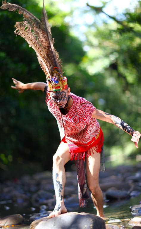 Tato dayak di lengan, tato dayak modern, tato suku dayak yang bernilai filosofis, tato dayak vs tato masa kini keunikan motif tato dayak dari kalimantan beserta 06 04 2019 dengan demikian motif tato dayak ada dayak tribal motif vector download free vector art sumber : lets draw a chaos!!!!!!: mengenal suku dayak