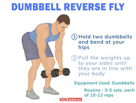 The reversed stimulation arrangement (i.e., l− r+) should result in higher creativity scores. How to do Dumbbell Reverse Fly | 101Exercise.com