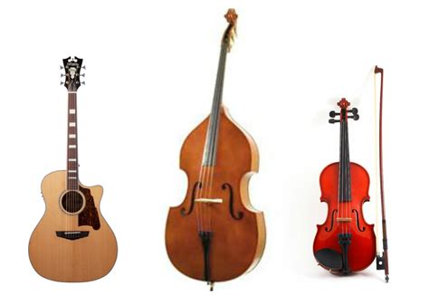 Even though these instruments are similar to lutes in terms of shape, some of them can assume sizes as big as 40 inches (like the double bass). Scott Russ Music: String Instrument Care: Temperature and ...