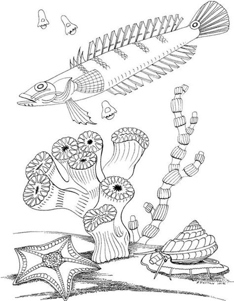 Home » nature » landscapes ». Free Seascape Coloring Pages