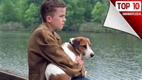 Si buscabas un porno convencional no has llegado al sitio indicado. Las 10 Mejores Peliculas De Perros - ViYoutube