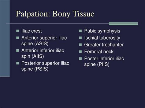 See also hepatomegaly and hepatosplenomegaly. PPT - Chapter 21: The Thigh, Hip, Groin, and Pelvis ...