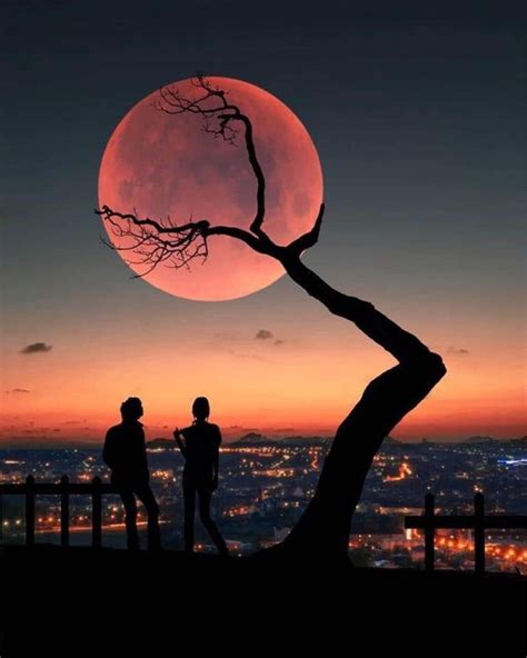 Nature landscape winter snow forest hill moon sunset clouds trees mist white blue valley wallpaper. Tree holding the moon in 2020 | Nature photography, Photo ...