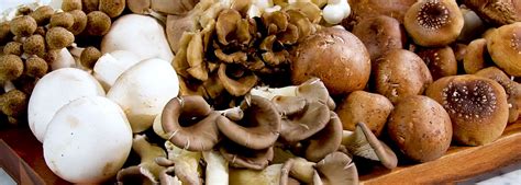 Vince vaughn, paul giamatti, john mi. Mushroom Council Video Library | Mushrooms 101 | Mushroom Council