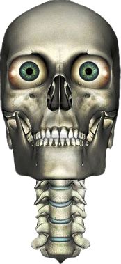 Eyeball Skull (PSD) | Official PSDs