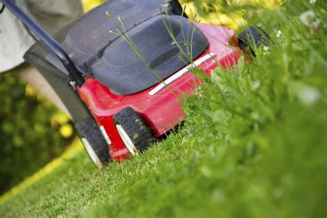 He says, this helps you separate your business assets from your personal assets. 10 Pros And Cons of Starting a Lawn Care Business - A 2020 ...