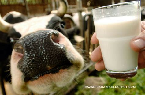 Ini kerana makanan yang ada pada hari ini sangatlah tidak sihat dan hanya memuaskan nafsu sahaja. 11 Makanan Yang Perlu Dielakkan Semasa Hamil | Razanirah ...