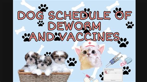 Puppies are immature dogs, and the word puppy you may have heard the term deworm which is, basically, treating for parasites using drugs called prevention: DOG SCHEDULE OF DEWORM AND VACCINES #SHIHTZU #DOG # ...