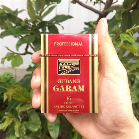 Gudang garam é um produto natural. Gudang Garam Quế|Thuốc Lá Gudang Garam-Thuốc Lá Mốc - Tobacco88