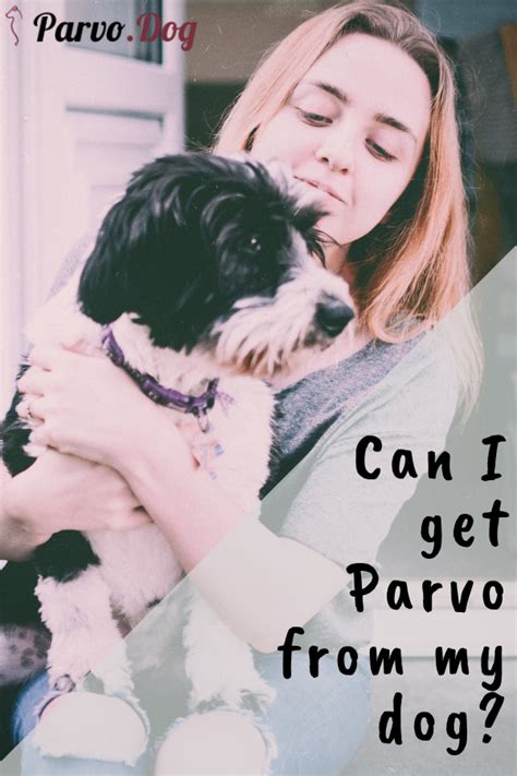 Get parvo shots for your puppy. Can I get Parvo from my dog. | Fifth disease, Dogs, Rash ...