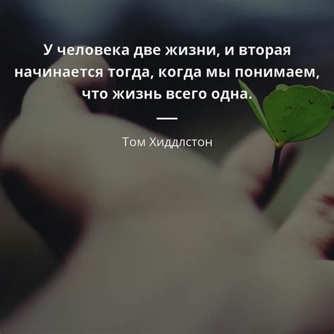 Сильно уж необычные звуки му были. 625507-tom-khiddlston-risunki-s-tsitatami-u-cheloveka-dve ...