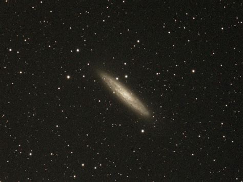 Tiene un diámetro aproximado de 62,000 años luz. Ngc 2608 Galaxy - NGC 2903 - Wikidata - It is considered a ...