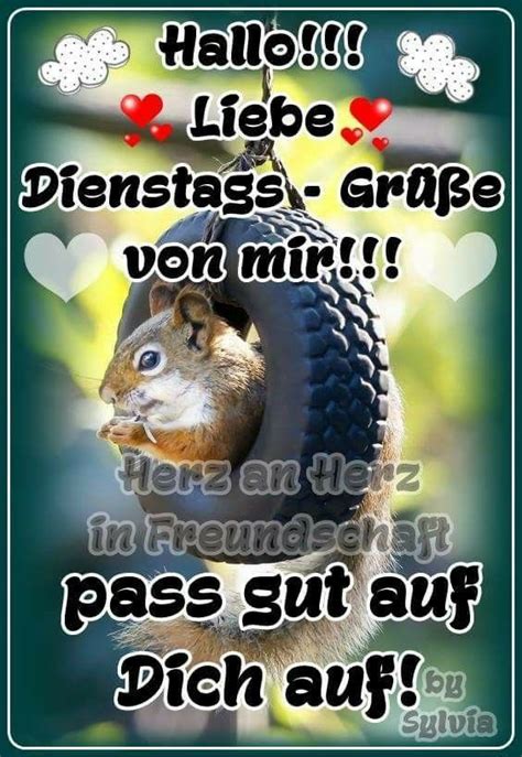 Fun zitat über wochenstart, büroposter. Pin von EinhornBinili auf Dienstag in 2020 | Guten morgen gruss, Montag grüße, Guten morgen spruch