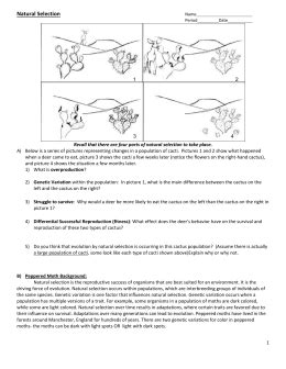 Gizmo answer key phase changes; Student Exploration Natural Selection Answer Key Activity ...
