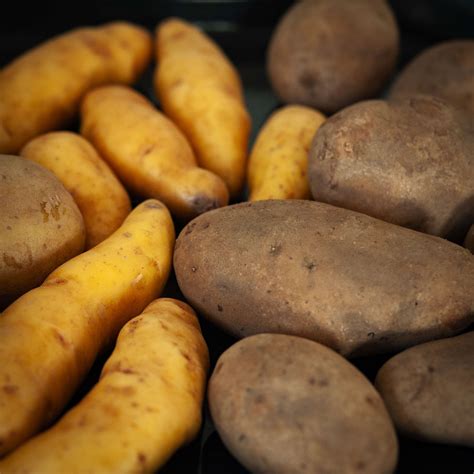 Nach den kartoffeln graben am besten nehmt ihr eine grabegabel zu hilfe, um die kartoffeln zu ernten. 55 Best Pictures Wann Setzt Man Kartoffeln : Wann Ist Der ...