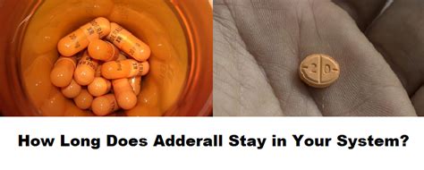 Your body composition may partially determine how long adderall remains in your body following its ingestion. How Long Does Adderall Stay in Your System? - ADT ...
