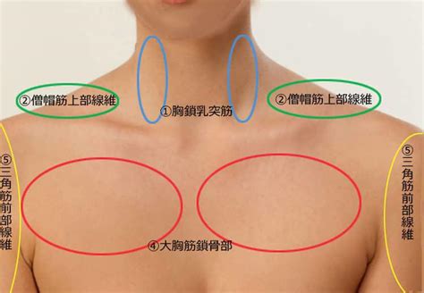 5秒でOK! 肩こり解消には「鎖骨ほぐし」 | なないろ日和 ...