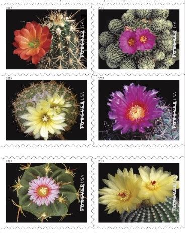 Terracotta planter paired with the sculptural echinocactus grusonii. Rainbow Stamp Club: Cactus Flowers on New USPS stamps