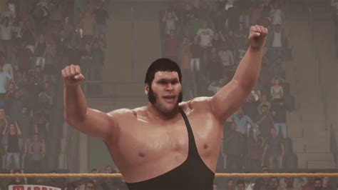Hulk and andre had been the best of friends leading up to. WWF Classics: Summerslam - Hulk Hogan Vs Andre the Giant ...