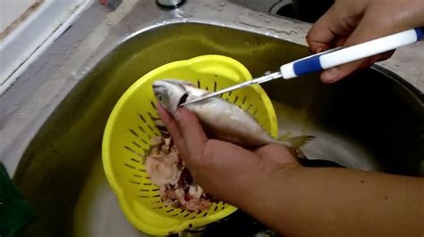 Contextual translation of siang ikan into english. Cara senang siang ikan guna gunting - YouTube