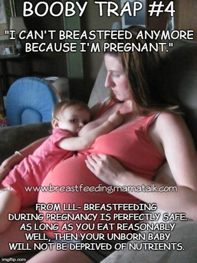 Cactus is incredibly useful, some can even supply a tasty treat or moisture. Breastfeeding Mama TalkBooby Traps%i