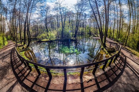 Atrakcje weselne i ślubne w tomaszowie mazowieckim. Arena Lodowa w Tomaszowie Mazowieckim