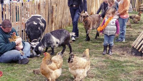 The great american petting zoo began as a wildlife park and guest ranch for troubled teens. Amsterdam Petting Zoos | Zoo animals, Zoo, Pets