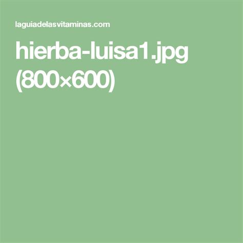 Tienda nube / empretienda + tienda instagram $ 15,000.00. hierba-luisa1.jpg (800×600) | Hierbas