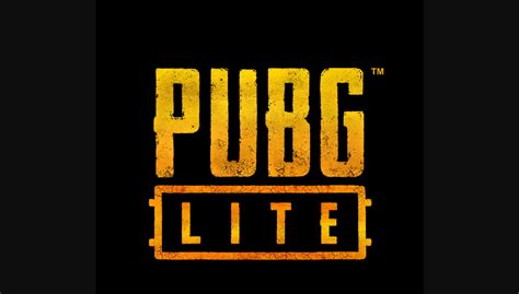 Please take caution that the application cannot be changed i have read all related information of personal information security and consent the pubg mobile. PUBG Lite Pre-Registration Event Starts in India: How to ...