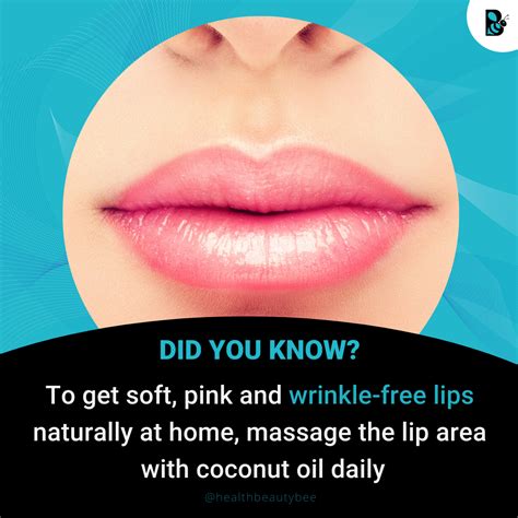 To remove the dead skin follow the home cures for how to get dead skin off lips mentioned below. Pin on Beauty Tips