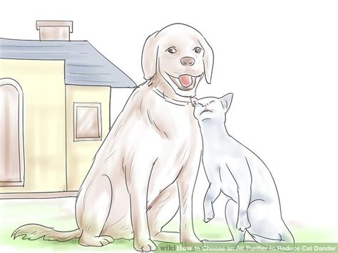 Maybe you would like to learn more about one of these? How to Choose an Air Purifier to Reduce Cat Dander: 11 Steps