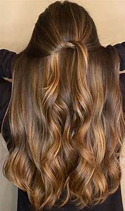 63 Charming Hair Colour Ideas Hairstyles Honey Brown Hair On Dark