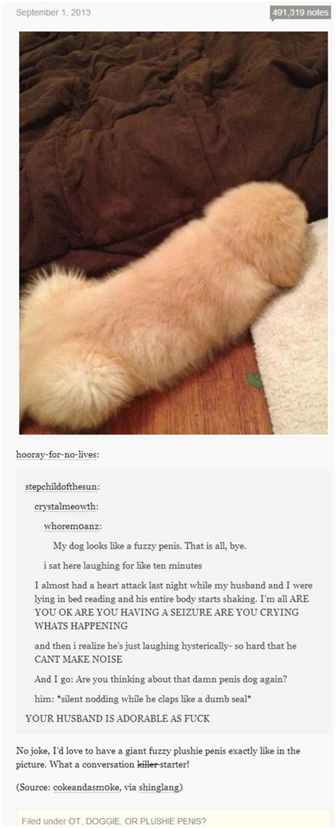 Rats are much larger and are shaped a little differently. This Dog Looks Like A Penis... And Your Husband Is ...