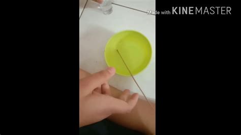 Daftar isi pewarna makanan sering digunakan dalam usaha makanan pewarna makanan terdiri dari pewarna alami dan sintetis (kimia) Cara buat slime air tanpa pewarna makanan warna biru ...
