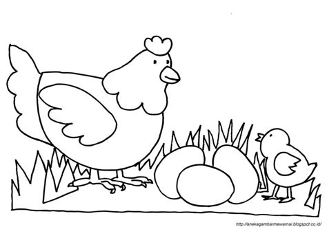Daur hidup adalah suatu proses yang dialami makhluk hidup yang dimulai dari awal pertama kali organisme itu hidup dibumi lalu tumbuh dan be. Gambar Mewarnai Ayam Untuk Anak PAUD dan TK | Aneka Gambar ...